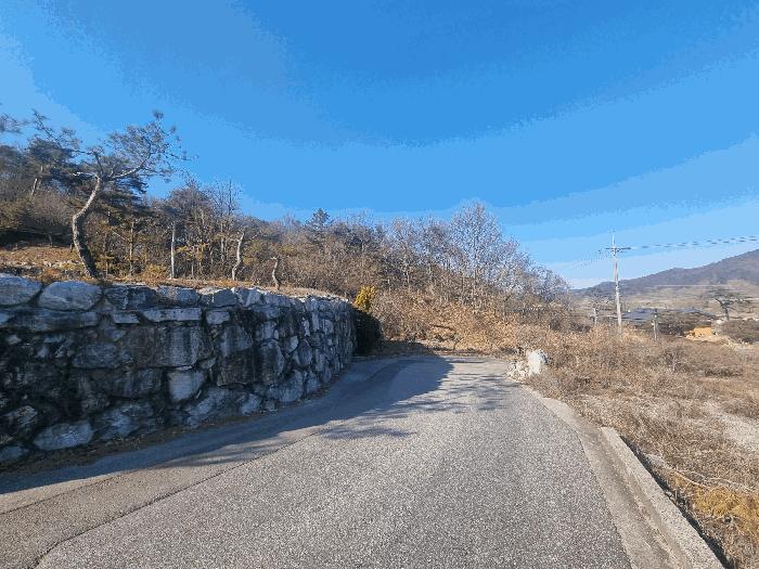 충청북도 충주시 앙성면 조천리 317-27 임야 경매 사진 3