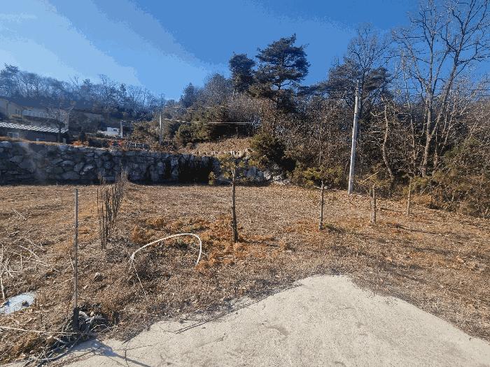 충청북도 충주시 앙성면 조천리 317-27 임야 경매 사진 4