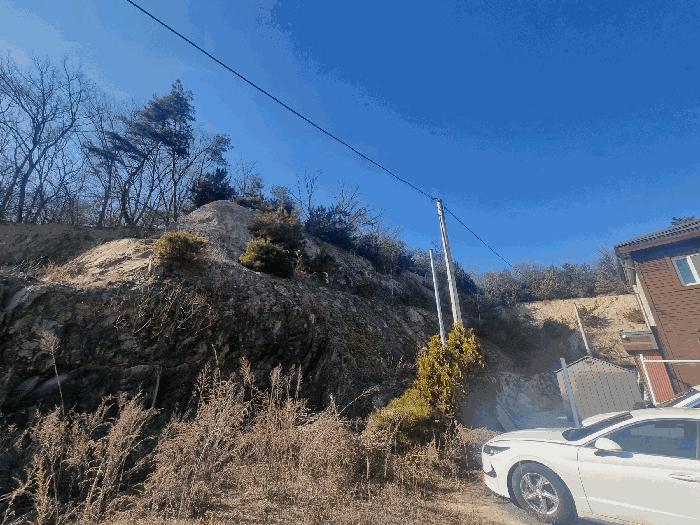 충청북도 충주시 앙성면 조천리 317-27 임야 경매 사진 5