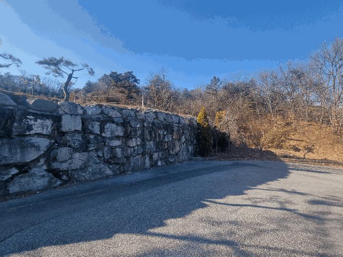 충청북도 충주시 앙성면 조천리 317-27 임야 경매 사진 6