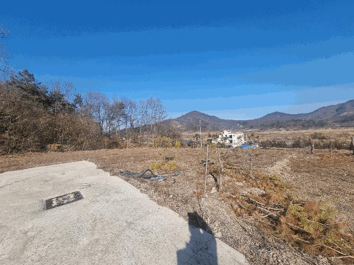 충청북도 충주시 앙성면 조천리 317-27 임야 경매 사진 8