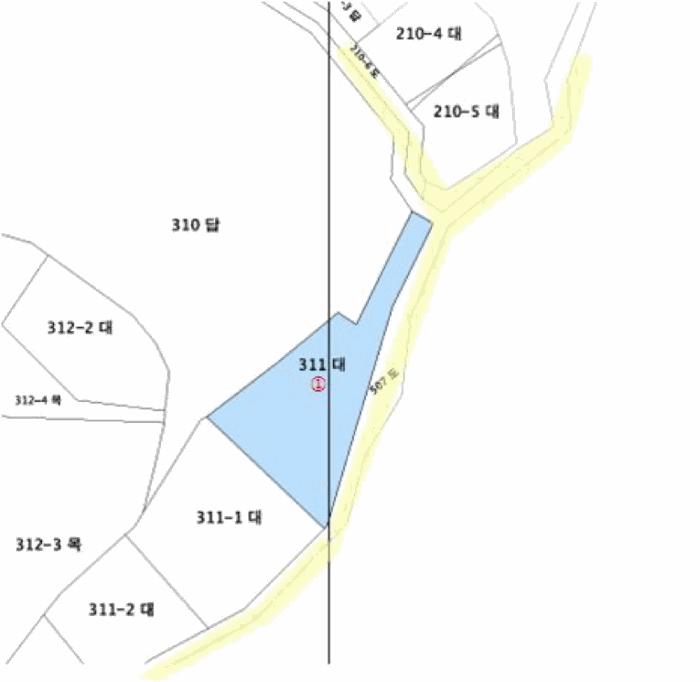 세종특별자치시 장군면 봉안리 311 대지 경매 사진 13