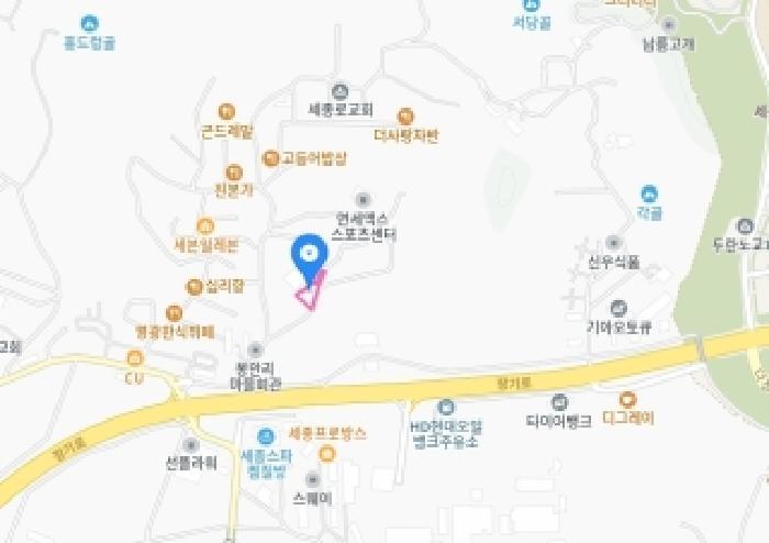 세종특별자치시 장군면 봉안리 311 대지 경매 사진 14