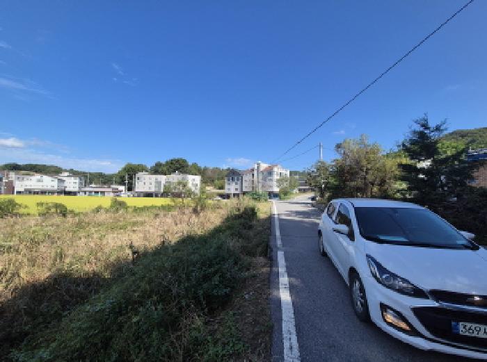 세종특별자치시 장군면 봉안리 311 대지 경매 사진 5