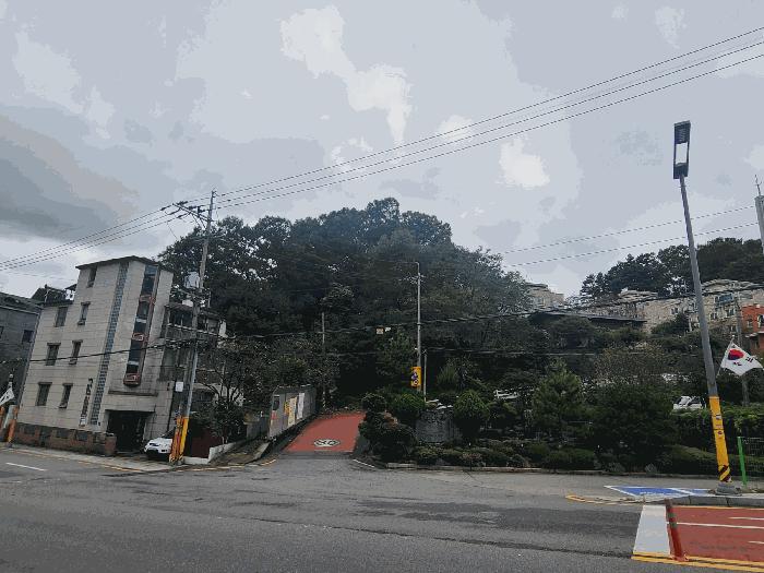 대전광역시 동구 용운동 185-2 임야 경매 사진 2