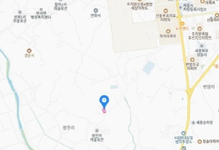 세종특별자치시 연서면 쌍전리 116 전 경매 사진 11