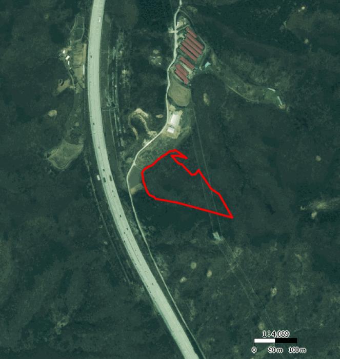 충청북도 제천시 봉양읍 장평리 산145-1 임야 경매 사진 11