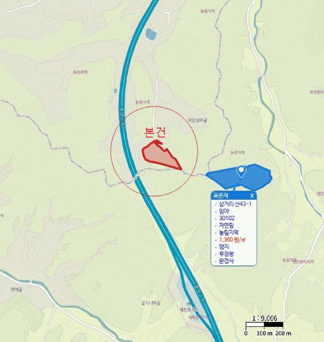 충청북도 제천시 봉양읍 장평리 산145-1 임야 경매 사진 12