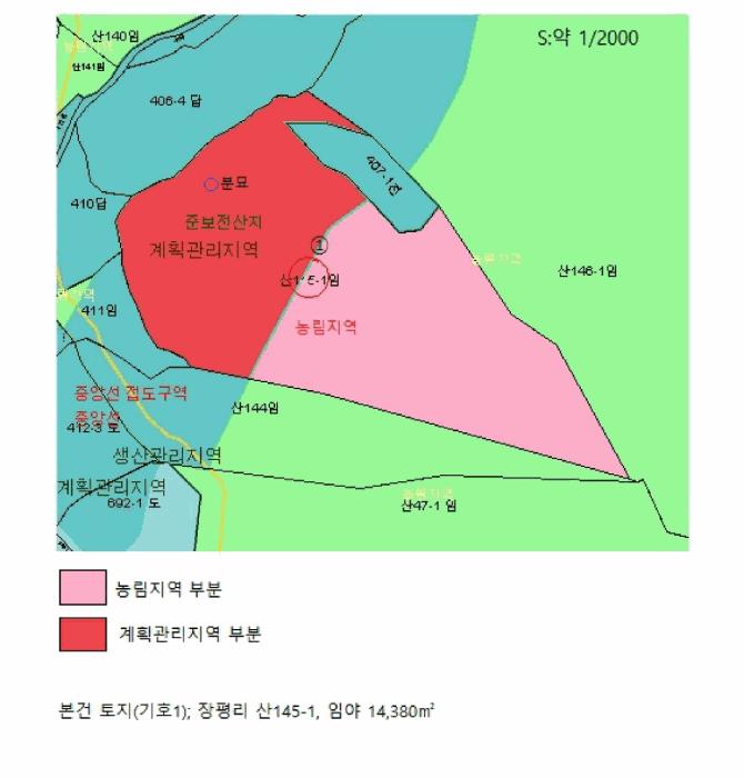 충청북도 제천시 봉양읍 장평리 산145-1 임야 경매 사진 14