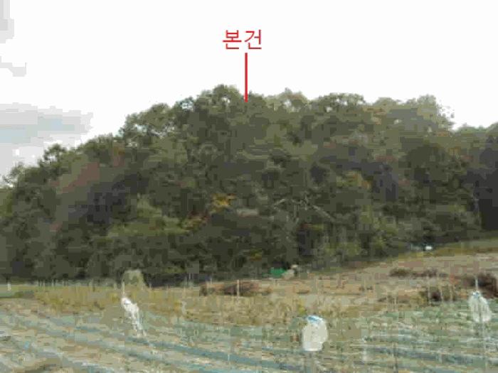 충청북도 제천시 봉양읍 장평리 산145-1 임야 경매 사진 4