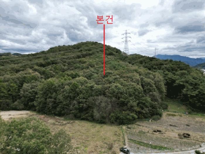 충청북도 제천시 봉양읍 장평리 산145-1 임야 경매 사진 5