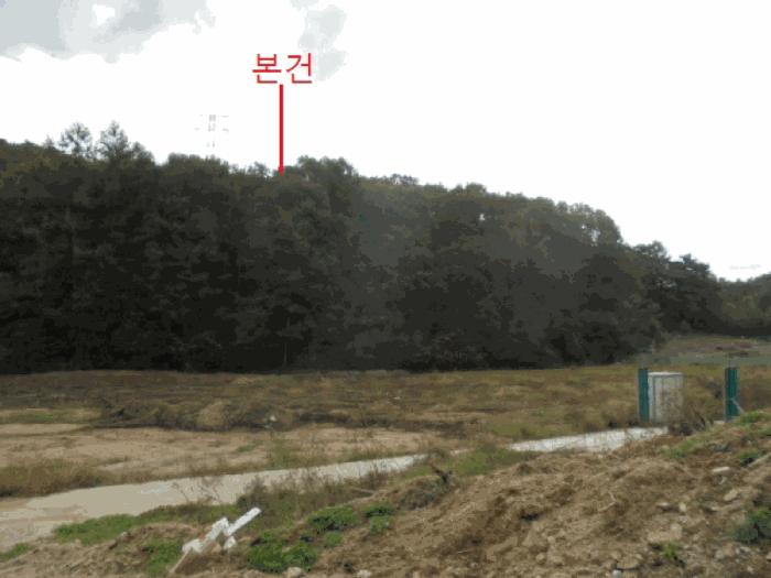 충청북도 제천시 봉양읍 장평리 산145-1 임야 경매 사진 7