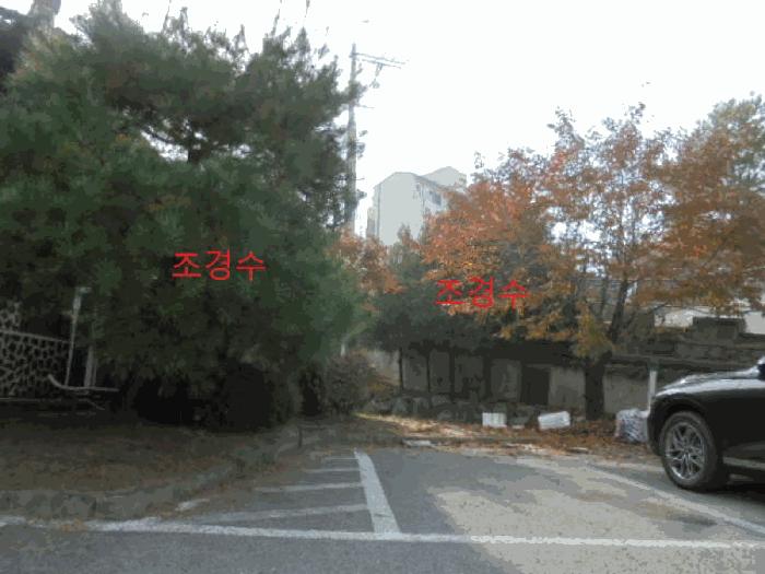 충청북도 제천시 교동 73 근린주택 경매 사진 8