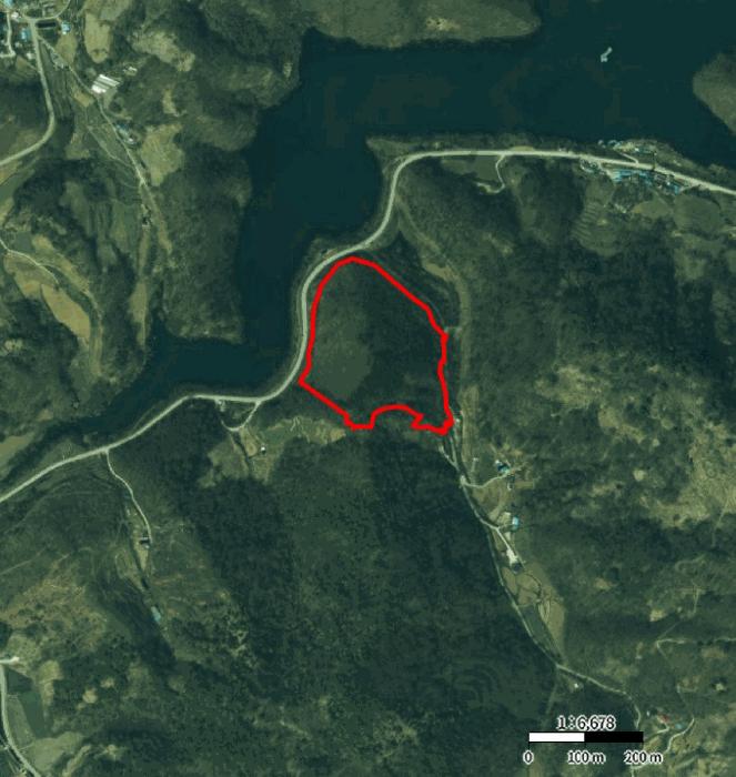 충청북도 제천시 수산면 지곡리 산17-1 임야 경매 사진 10