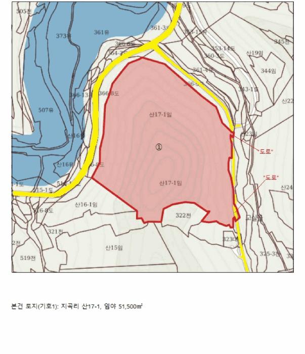 충청북도 제천시 수산면 지곡리 산17-1 임야 경매 사진 13