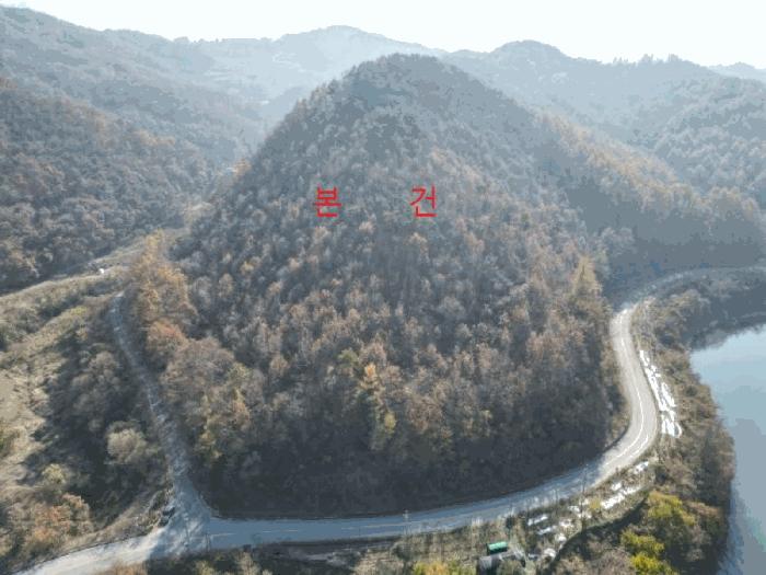 충청북도 제천시 수산면 지곡리 산17-1 임야 경매 사진 2