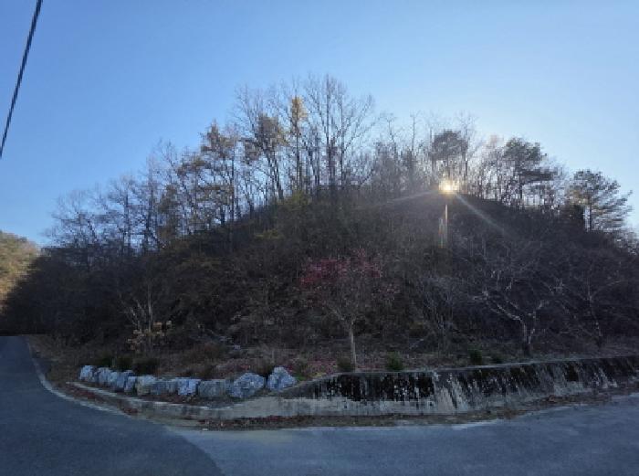 충청북도 제천시 수산면 지곡리 산17-1 임야 경매 사진 7