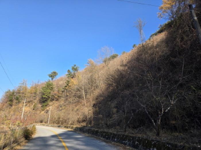 충청북도 제천시 수산면 지곡리 산17-1 임야 경매 사진 8