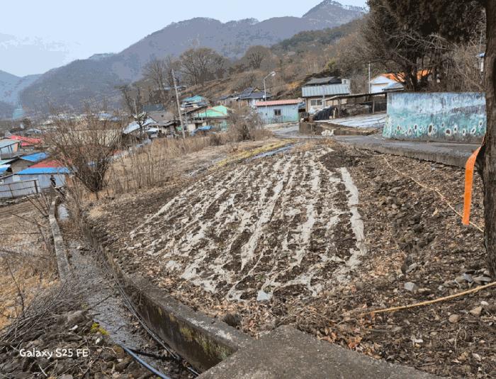 충청북도 제천시 덕산면 신현리 618-4 전 경매 사진 4