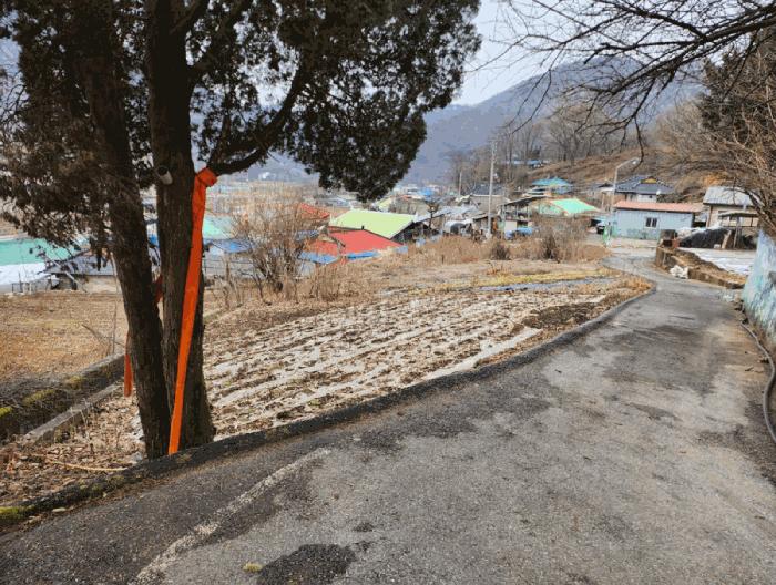 충청북도 제천시 덕산면 신현리 621 대지 경매 사진 1