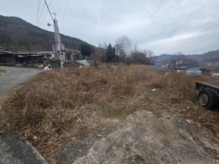 충청북도 제천시 덕산면 신현리 621 대지 경매 사진 15