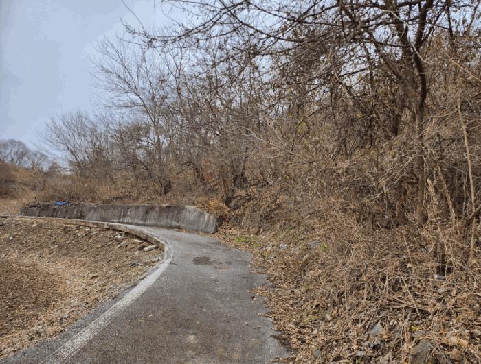 충청북도 제천시 덕산면 신현리 621 대지 경매 사진 2