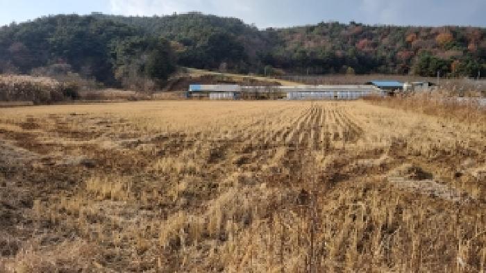 전북특별자치도 남원시 운봉읍 준향리 818-3 답 경매 사진 16