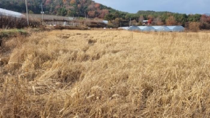 전북특별자치도 남원시 운봉읍 준향리 818-3 답 경매 사진 7