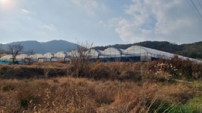 전북특별자치도 남원시 운봉읍 준향리 818-3 답 경매 사진 8