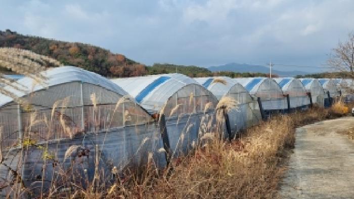 전북특별자치도 남원시 운봉읍 준향리 817-4 답 경매 사진 15