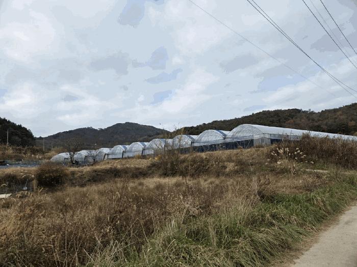 전북특별자치도 남원시 운봉읍 준향리 817-4 답 경매 사진 6