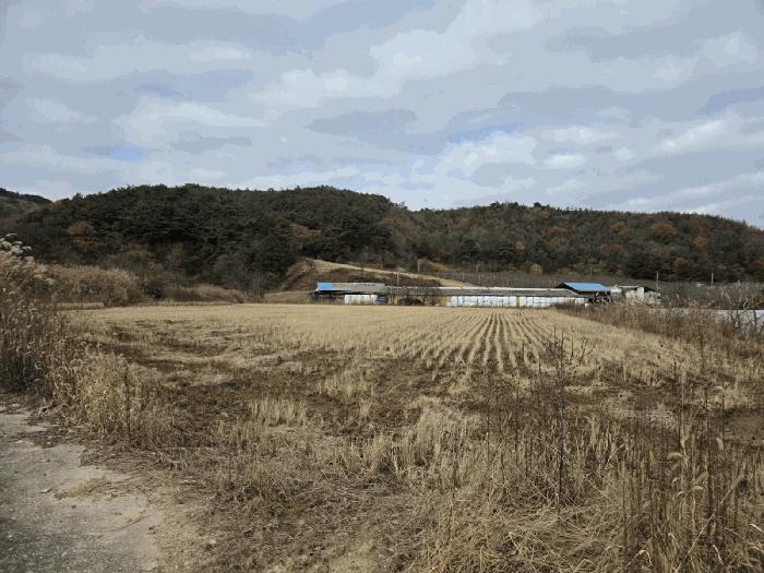 전북특별자치도 남원시 운봉읍 준향리 818-1 답 경매 사진 1