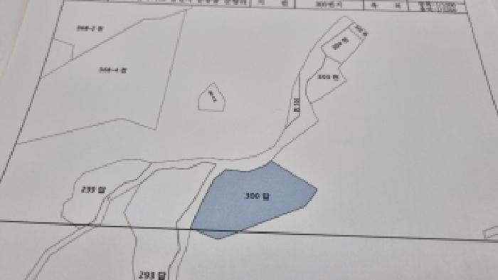 전북특별자치도 남원시 운봉읍 준향리 818-1 답 경매 사진 19