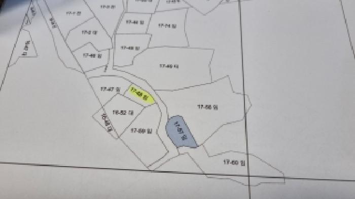 전북특별자치도 순창군 순창읍 신남리 17-57 임야 경매 사진 9