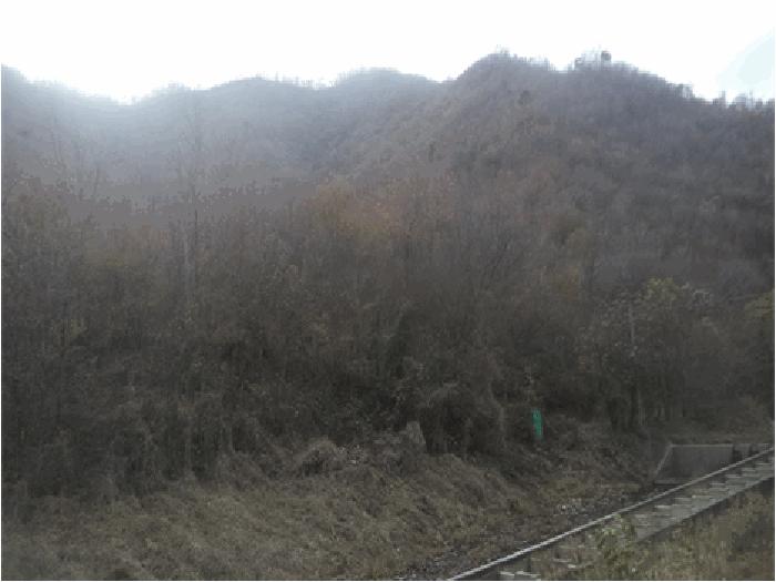 전북특별자치도 순창군 쌍치면 중안리 산15-10 임야 경매 사진 1