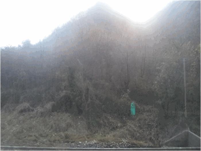 전북특별자치도 순창군 쌍치면 중안리 산15-10 임야 경매 사진 3