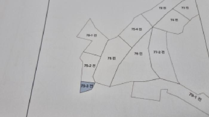 전북특별자치도 순창군 풍산면 대가리 514-1 답 경매 사진 19