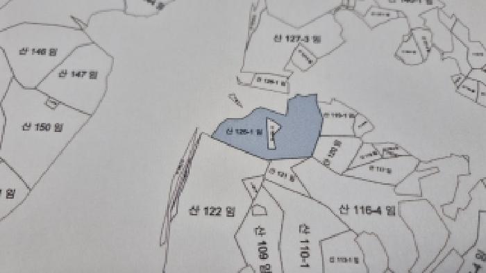 전북특별자치도 순창군 풍산면 한내리 75-3 임야 경매 사진 17