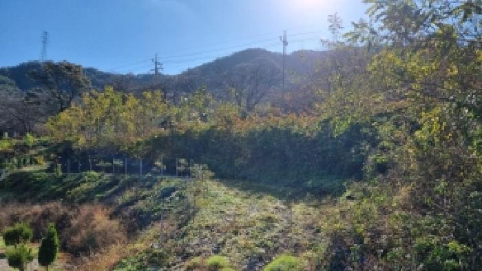 전북특별자치도 순창군 풍산면 한내리 75-3 임야 경매 사진 7