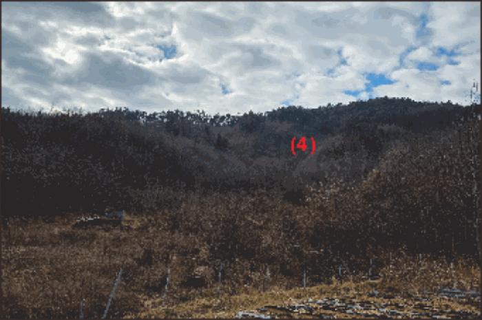 충청남도 천안시 동남구 병천면 병천리 424-4 임야 경매 사진 2