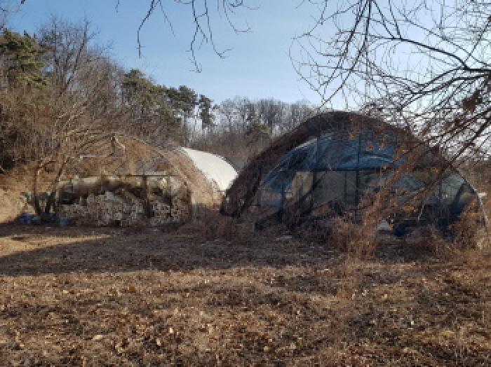충청남도 천안시 동남구 풍세면 가송리 315-1 전 경매 사진 12