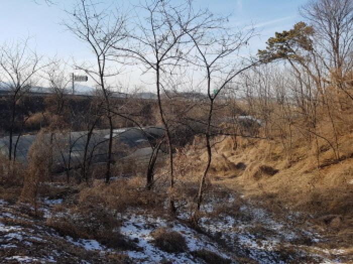 충청남도 천안시 동남구 풍세면 가송리 315-1 전 경매 사진 17