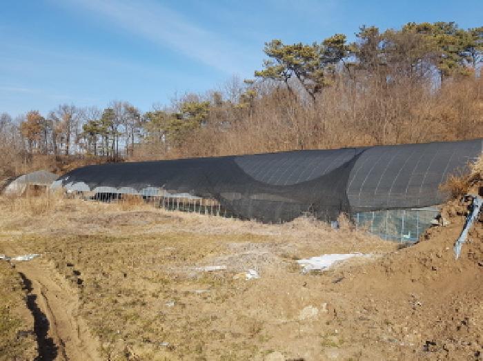 충청남도 천안시 동남구 풍세면 가송리 315-1 전 경매 사진 18