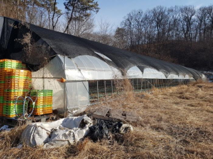 충청남도 천안시 동남구 풍세면 가송리 315-1 전 경매 사진 19