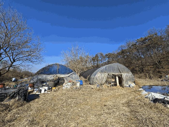 충청남도 천안시 동남구 풍세면 가송리 315-1 전 경매 사진 5