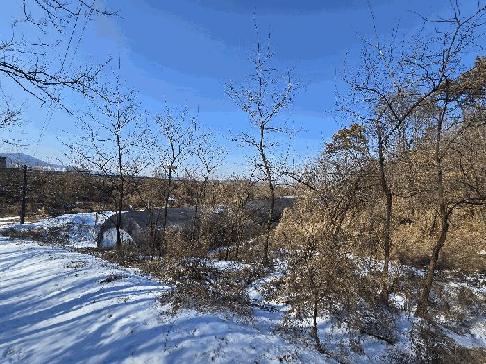 충청남도 천안시 동남구 풍세면 가송리 315-1 전 경매 사진 6