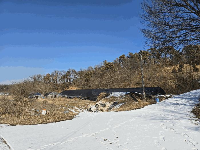 충청남도 천안시 동남구 풍세면 가송리 315-1 전 경매 사진 7