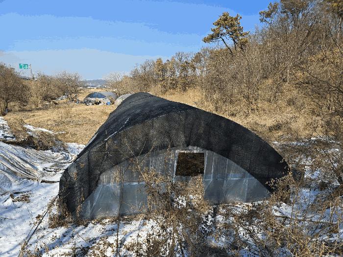 충청남도 천안시 동남구 풍세면 가송리 315-1 전 경매 사진 8