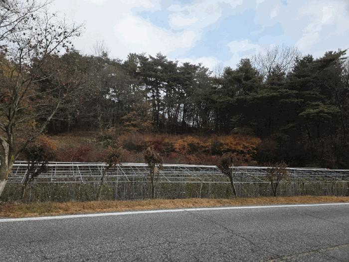 전북특별자치도 순창군 구림면 자양리 산112 임야 경매 사진 1