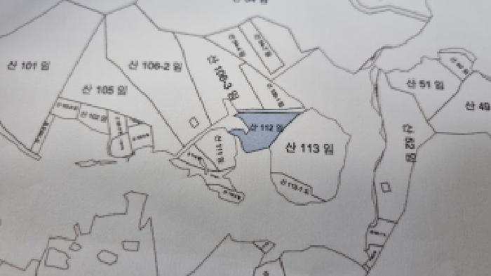 전북특별자치도 순창군 구림면 자양리 산112 임야 경매 사진 11